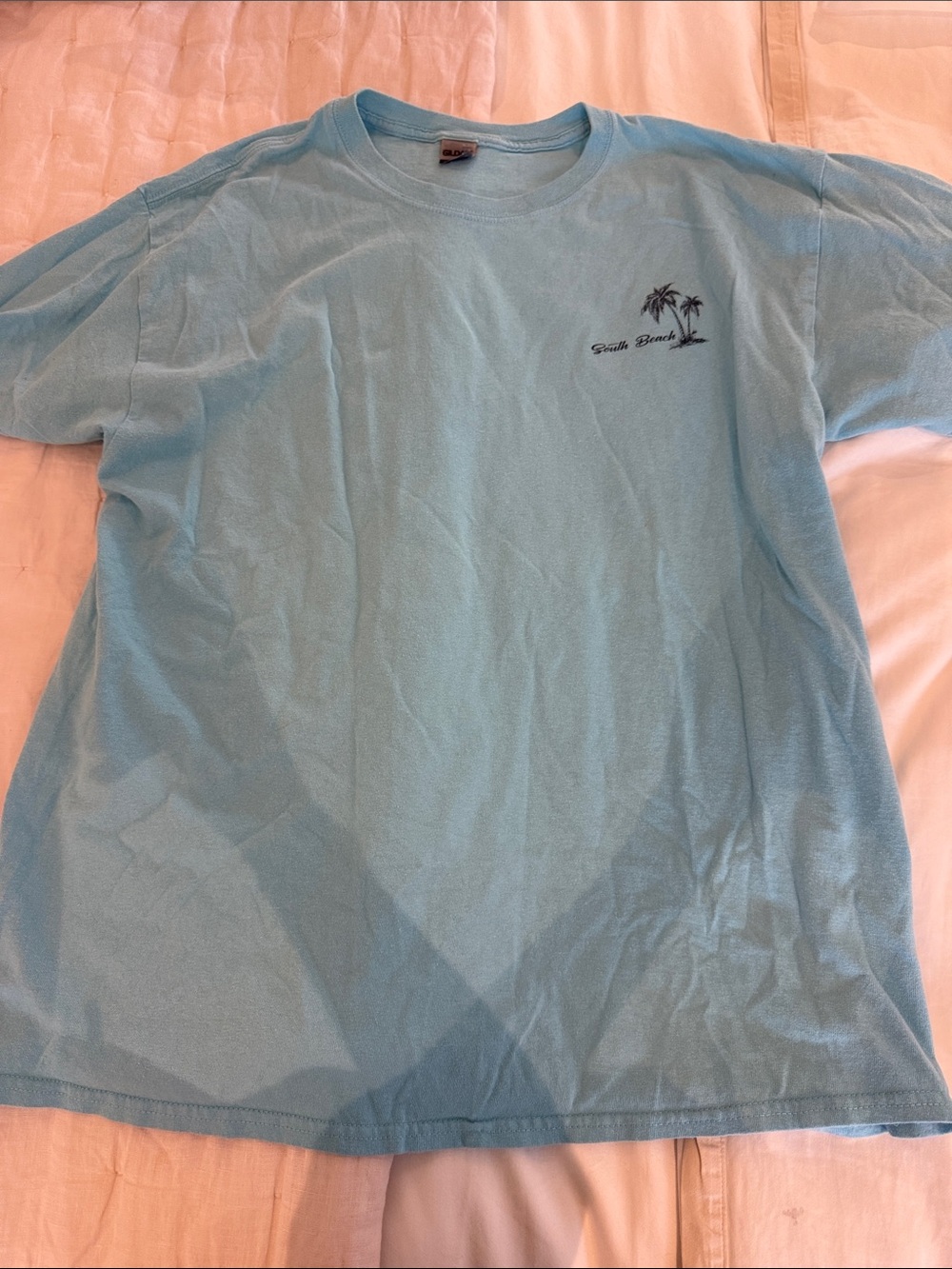 Gildan Oversized Sky Blue Short Sleeve Tee with Palm Tree Chest Graphic